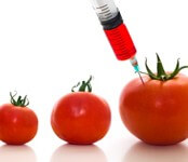 The Coming Food Crisis